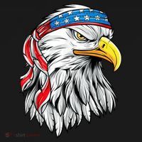 4th Of July Patriotic Eagle American Flag Women's Hoodie thumb 2