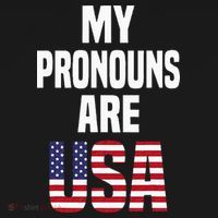4th Of July Funny My Pronouns Are USA T-Shirt thumb 7