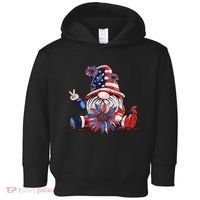 4th Of July Gnome Festive Holiday Toddler Hoodie thumb 0