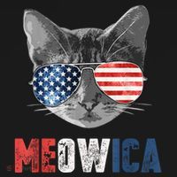 4th Of July Bald Eagle Mullet Meowica Usa Usa Merica Mousepad thumb 1
