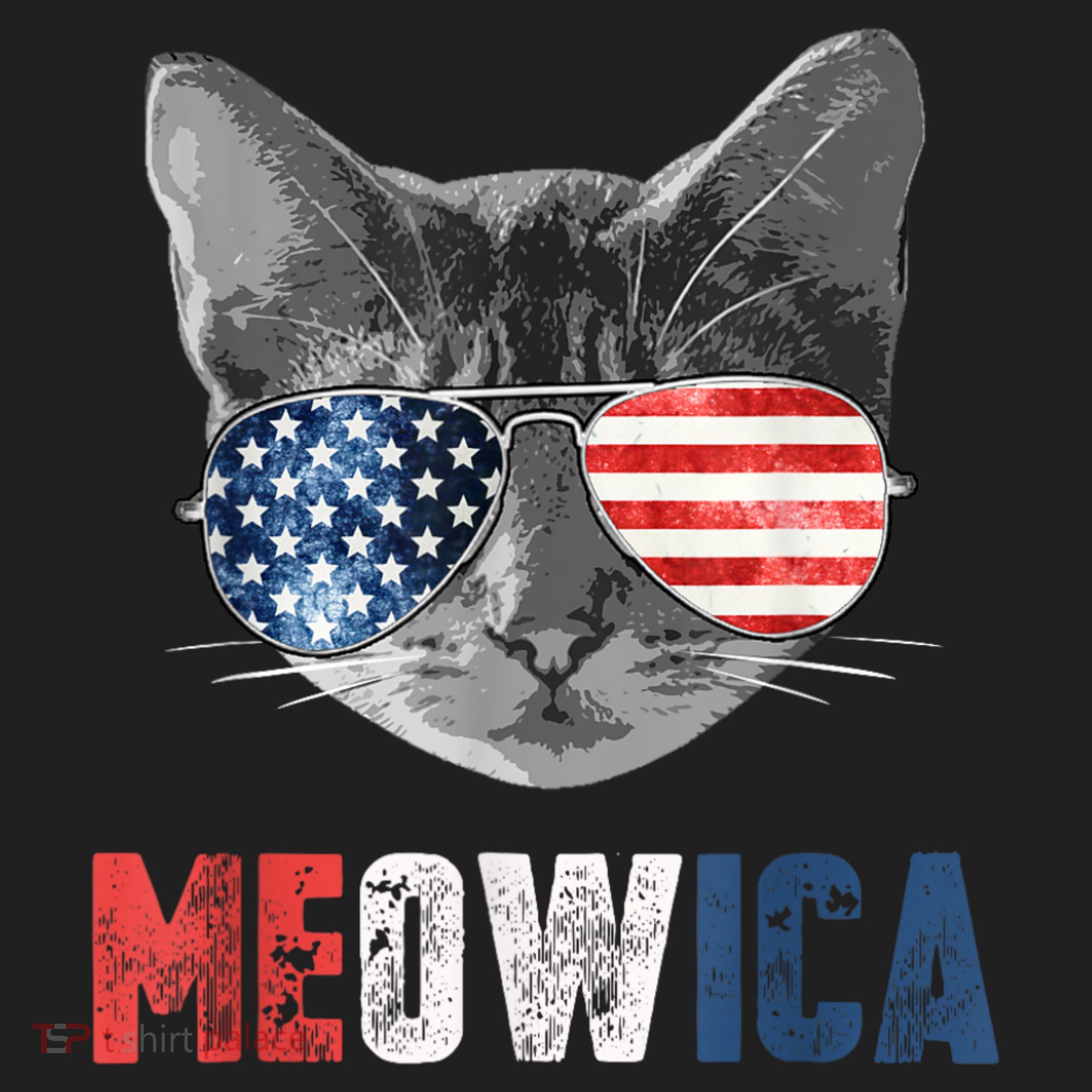 4th Of July Bald Eagle Mullet Meowica Usa Usa Merica Hat
