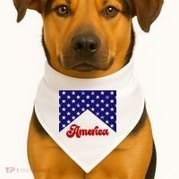 4th Of July Independence Day America Retro Pattern USA-Made Doggie Bandana thumb 1