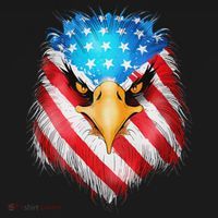 4th Of July Patriotic Eagle Usa American Flag Long Sleeve Shirt thumb 2