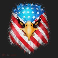 4th Of July Patriotic Eagle Usa American Flag Beanie thumb 2