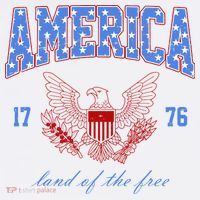 4th Of July Independence Day Land Of The Free Women's Tank Top thumb 5