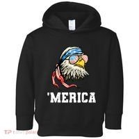 4th Of July Merica Usa Flag Bald Eagle Patriotic Veteran Toddler Hoodie thumb 0