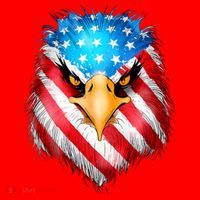 4th Of July Patriotic Eagle Usa American Flag Santa Hat thumb 1