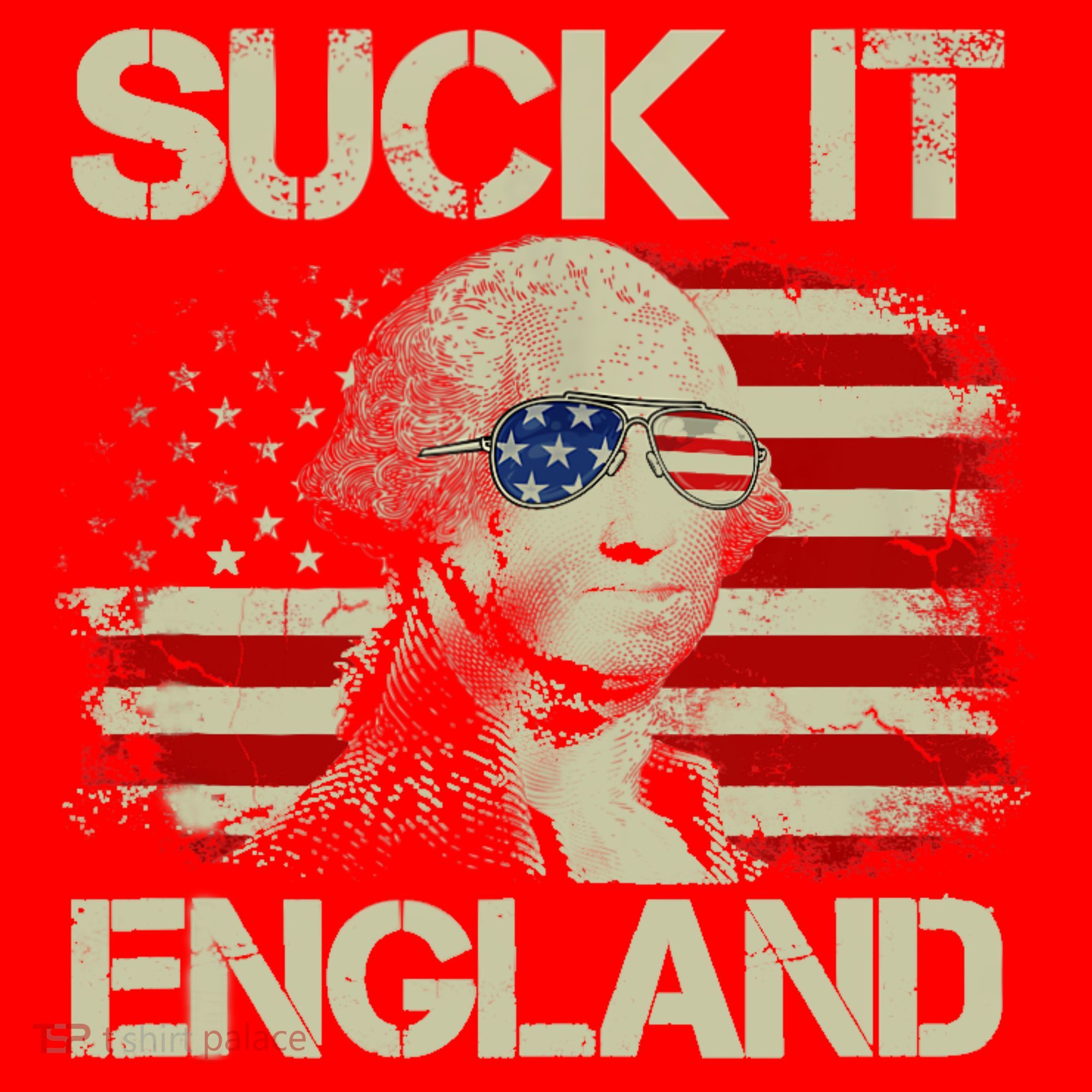 4th Of July George Sloshington Suck It England Merica Santa Hat