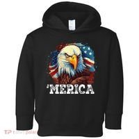 4th Of July Merica Bald Eagle USA Patriotic American Flag Toddler Hoodie thumb 0