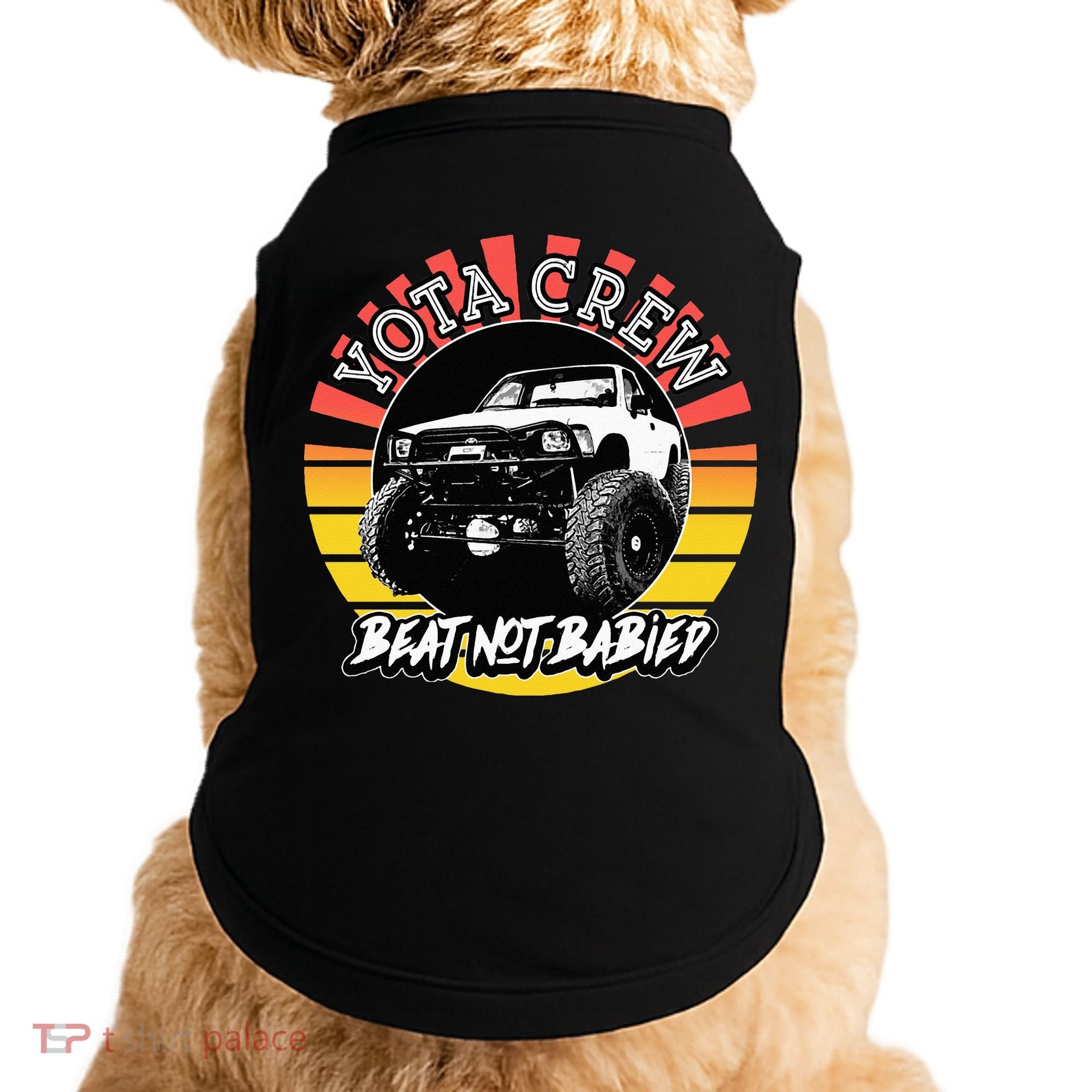 4X4 Off Road Rock Crawler Overland Mud Truck Doggie Tank