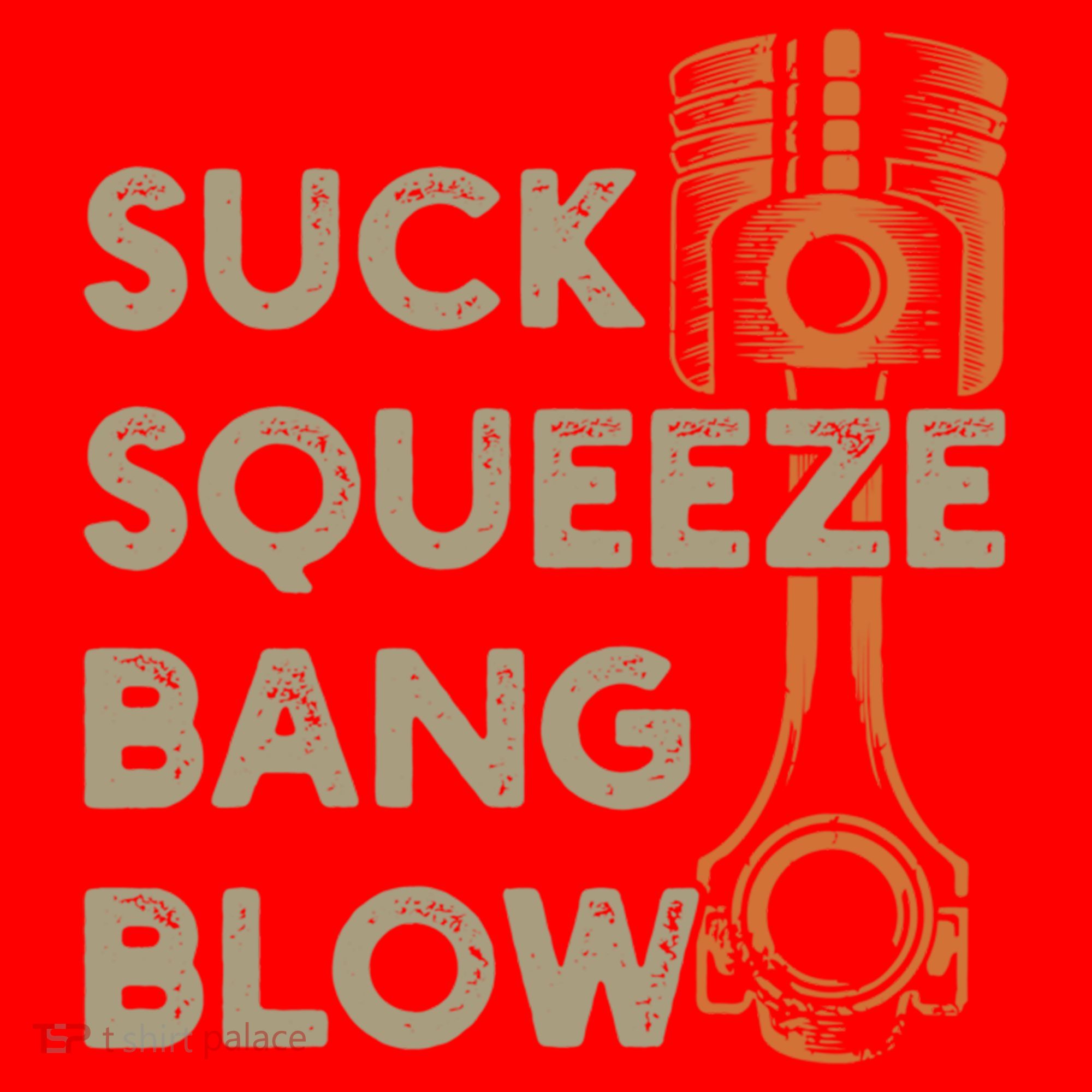4 Stroke Cycle Suck Squeeze Bang Blow Piston Mechanic Gift Santa Hat