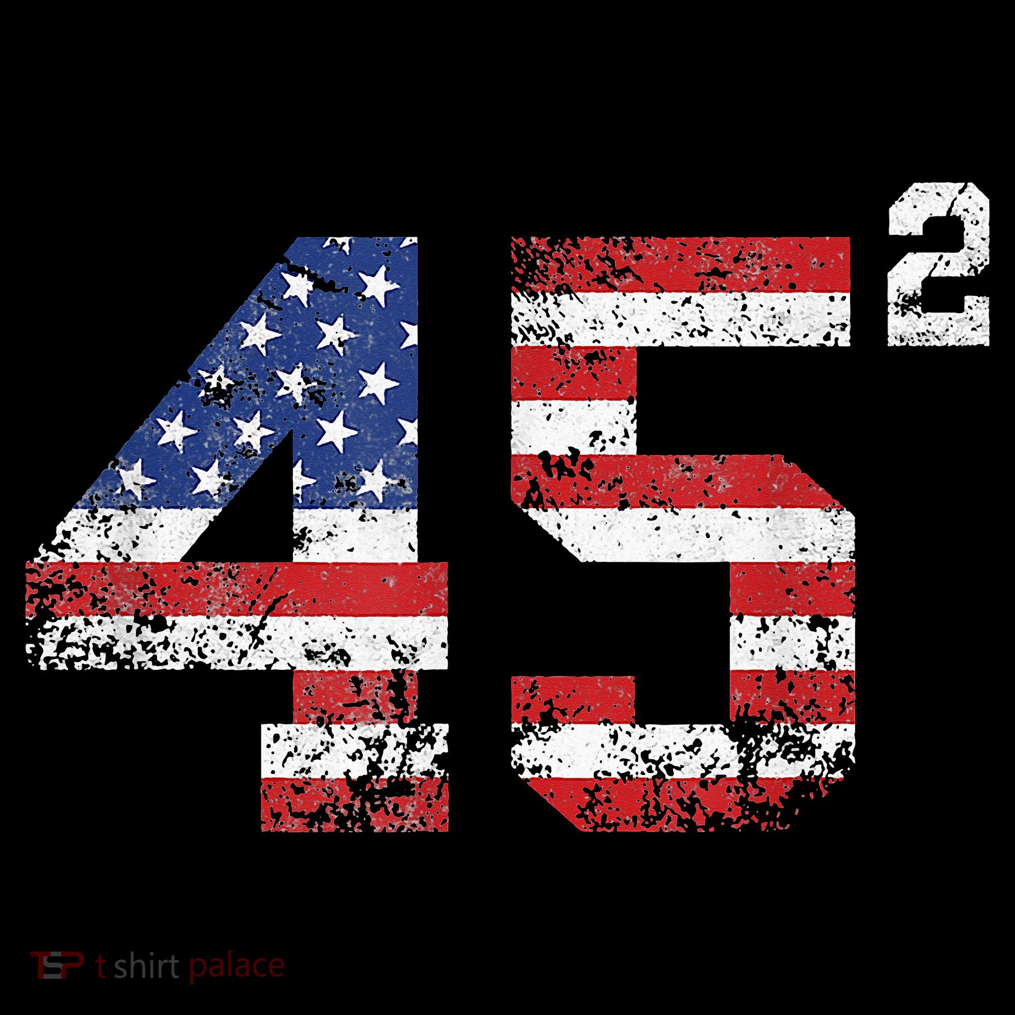 45 Squared Trump 2024 Backpack