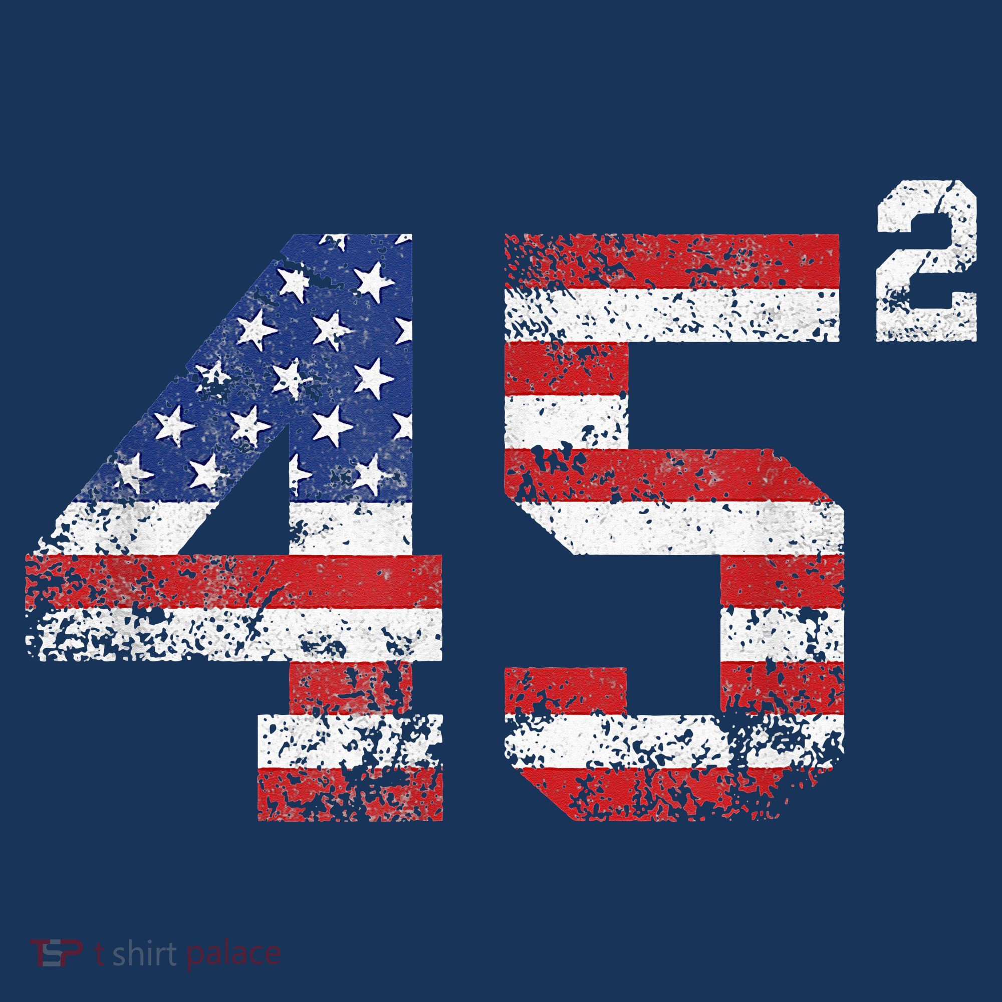 45 Squared Trump 2024 Sweatshirt