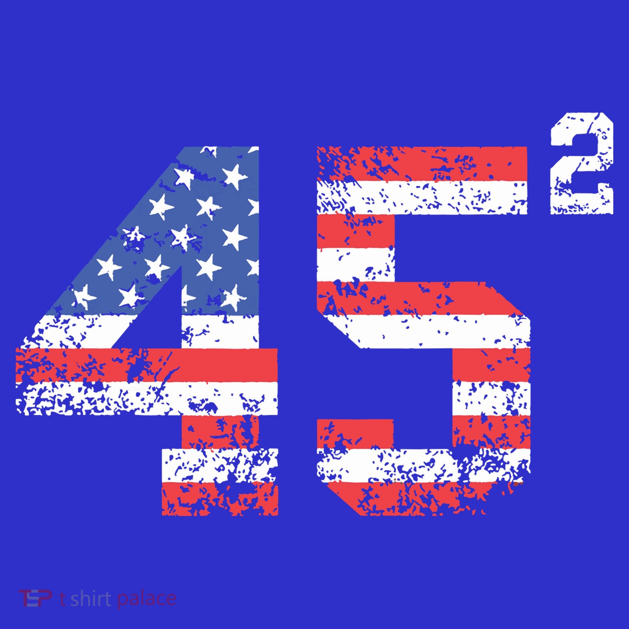 45 Squared Trump 2024 Second Term Usa Vintage Hoodie
