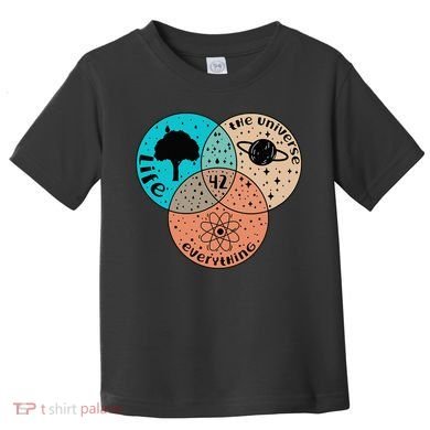 42 The Answer To Life Universe And Everything Astronomer Toddler T-Shirt