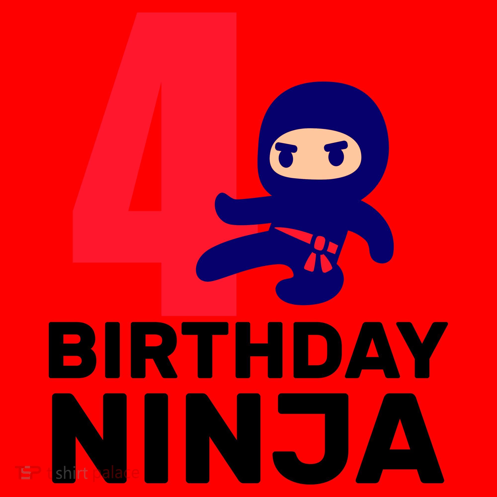 4th Birthday Ninja  Santa Hat