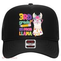 4th Grade? No Prob Llama Hat thumb 0