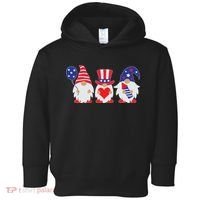4th of July Lawn Gnomes USA Toddler Hoodie thumb 0