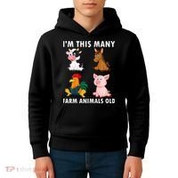 4 Year Old Boy Farm Animals Old 4th Birthday Kids Hoodie thumb 4