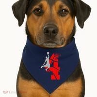 4 Year Old 4th Basketball Birthday Partytheme USA-Made Doggie Bandana thumb 1