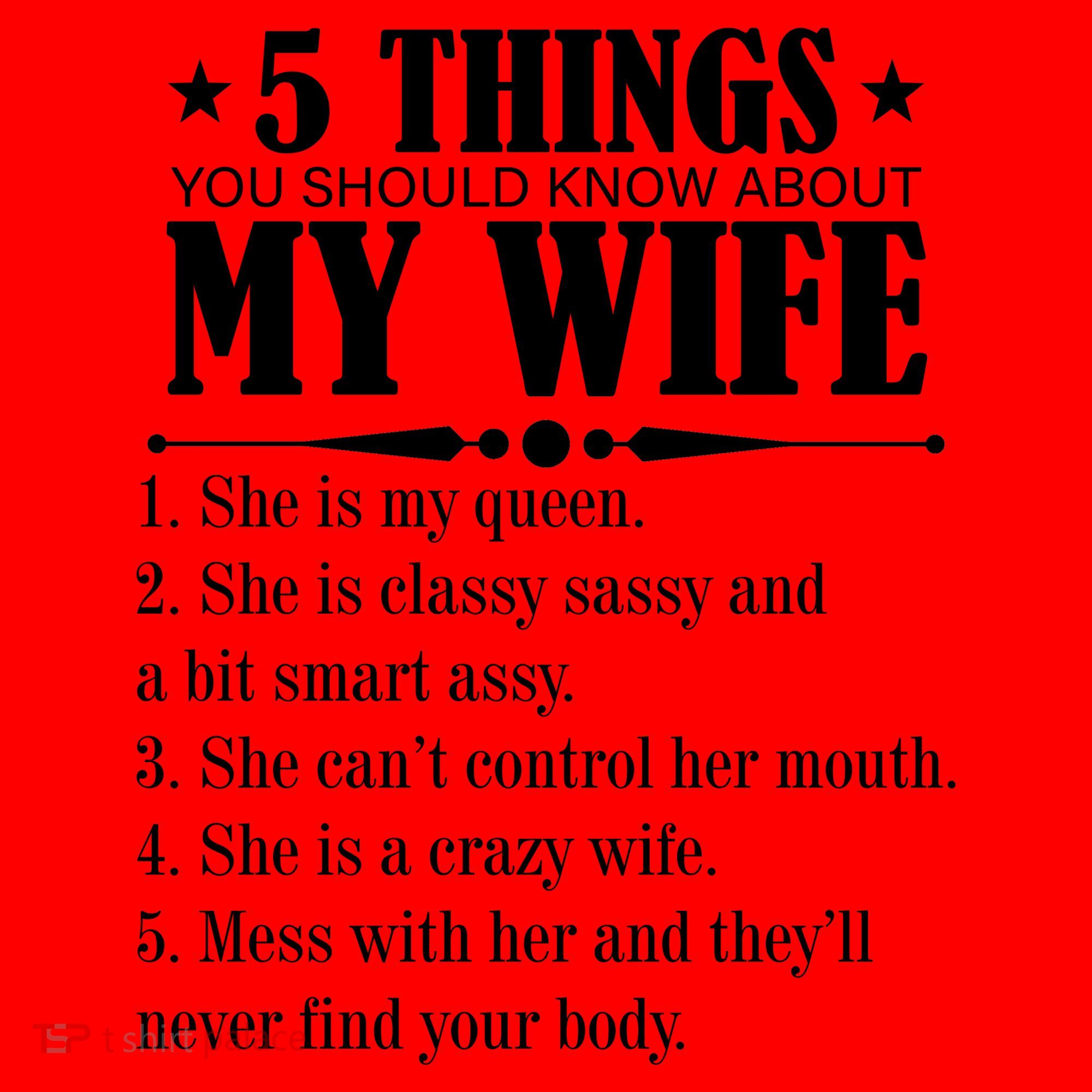 5 Things You Should Know About My Wife Funny Santa Hat