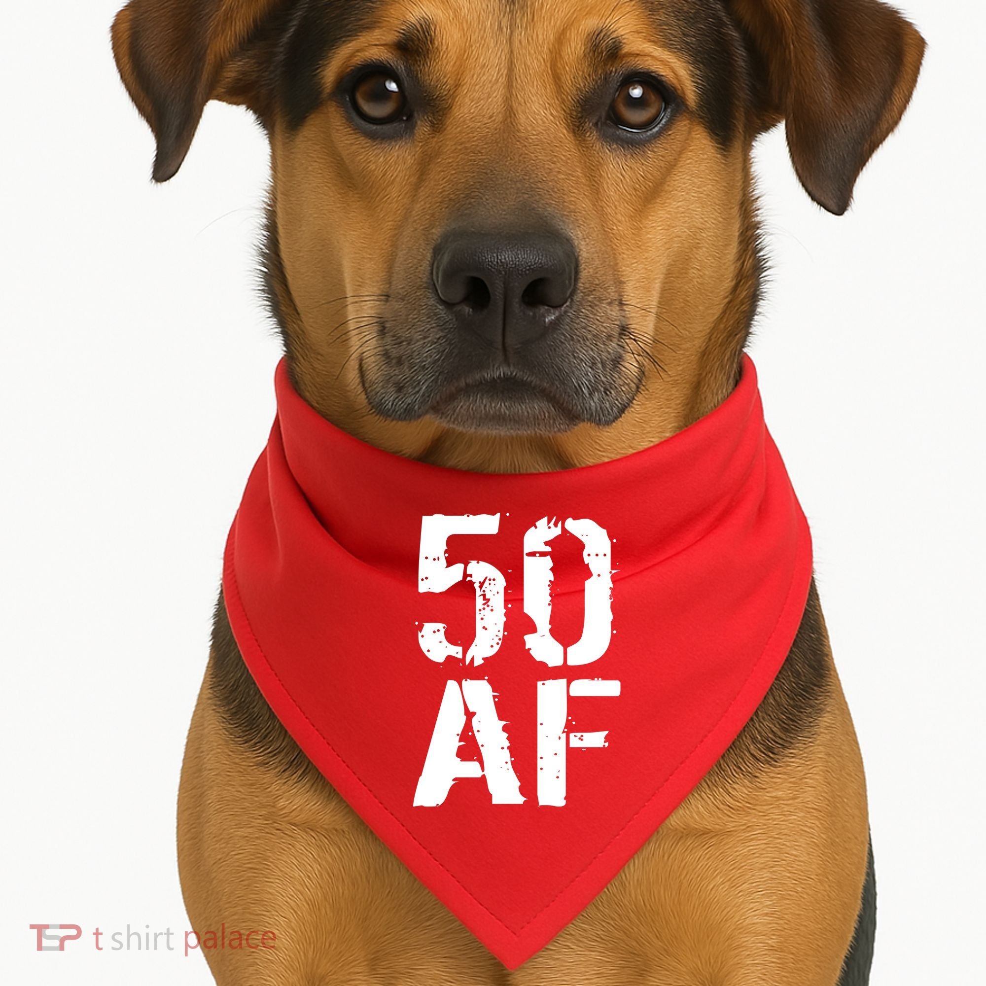 50 AF 50th Birthday USA-Made Doggie Bandana