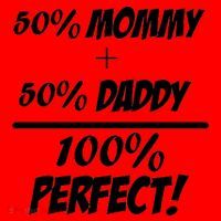 50 Mommy Plus 50 Daddy Equals 100 Percent Perfect Santa Hat thumb 1