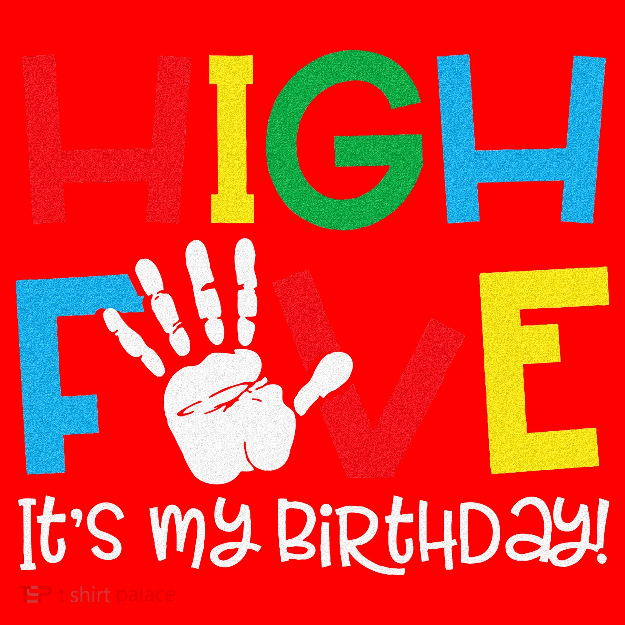 5yr 5th Birthday Funny High Five Its My Birthday Santa Hat