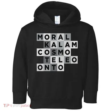 5 Arguments Christian Apologetics Toddler Hoodie