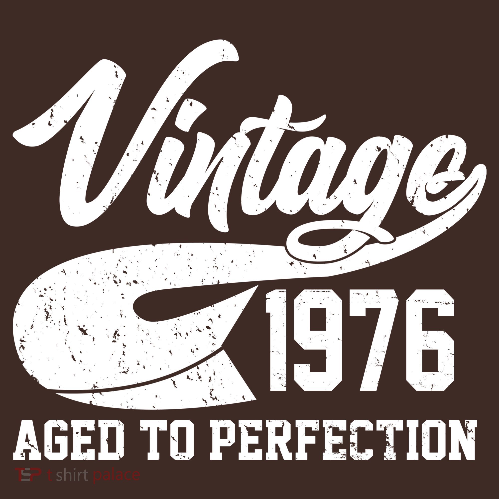 50th Birthday Sporty Vintage 1976 Age To Perfection  T-Shirt