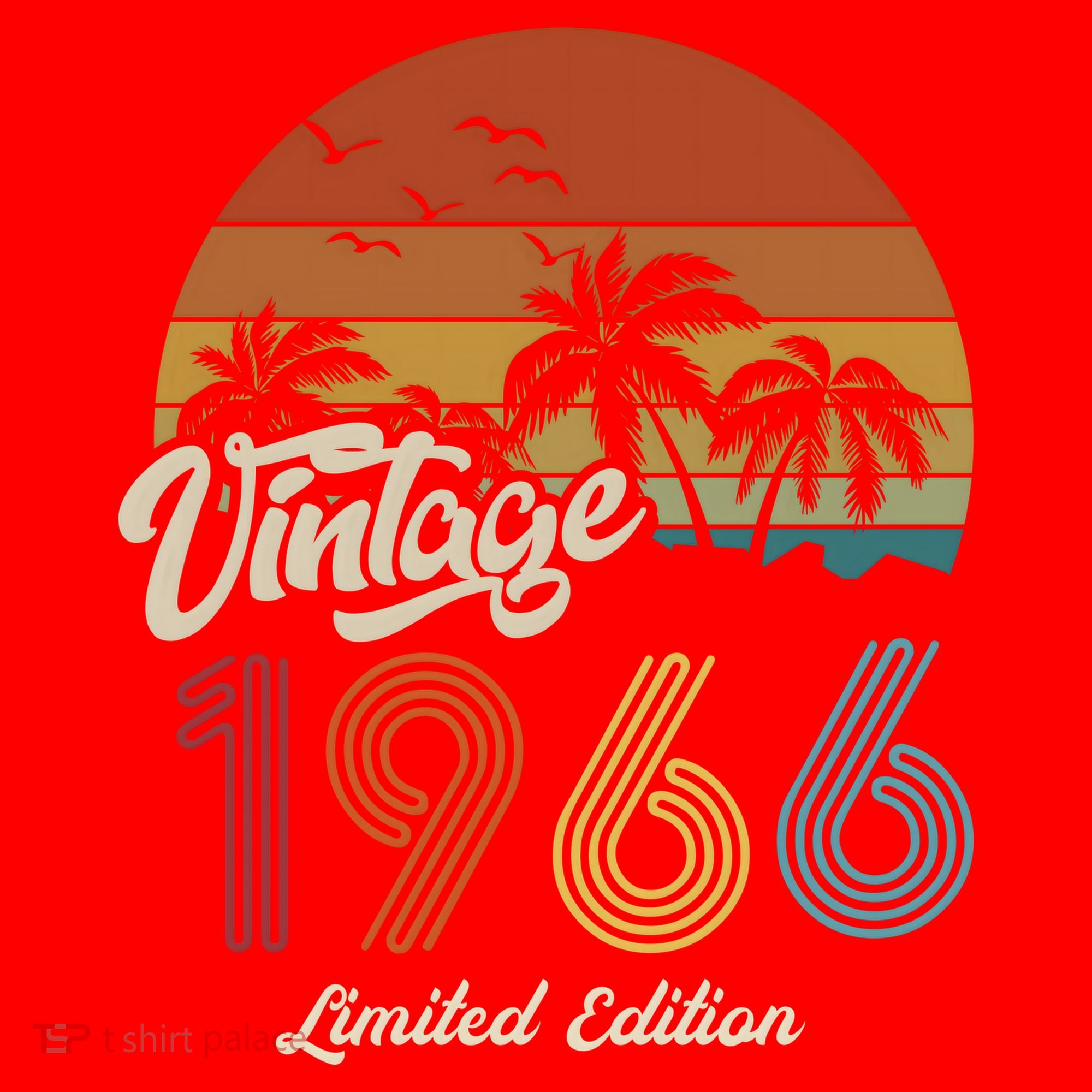 57th Birthday Vintage Limited Edition 1966 Santa Hat