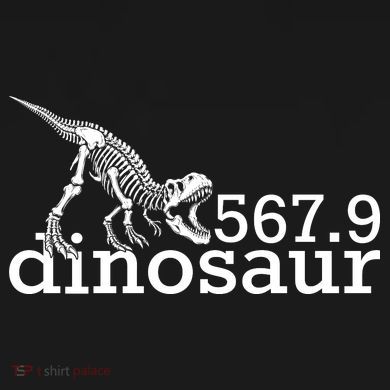 567.9 Dinosaur Bucket Hat
