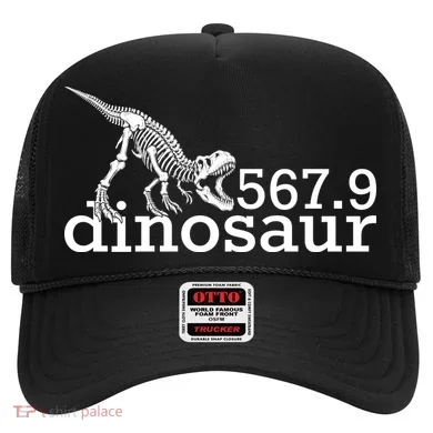 567.9 Dinosaur Hat
