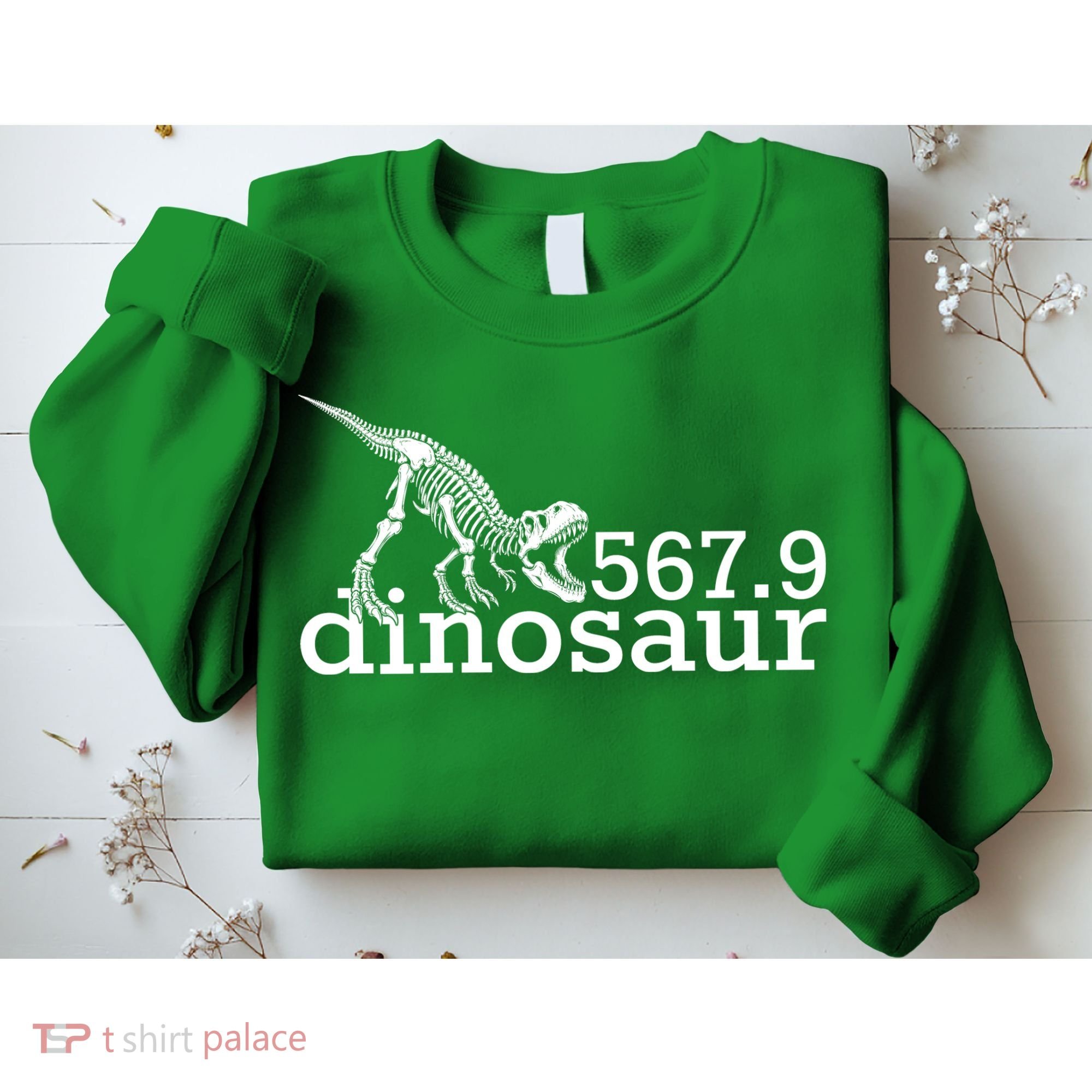 567.9 Dinosaur Sweatshirt