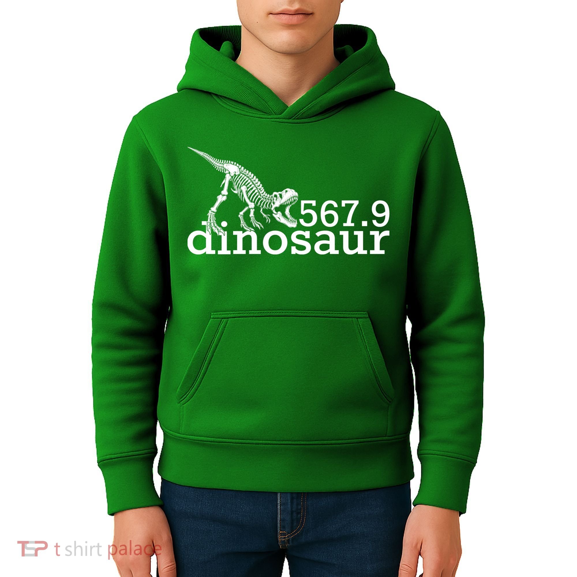 567.9 Dinosaur Kids Hoodie
