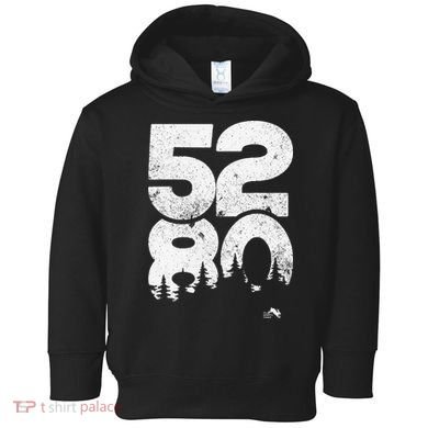 5280 Mile High Denver Colorado Toddler Hoodie