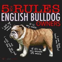 5 Rules For English Bulldog Owners Gift Beanie thumb 2