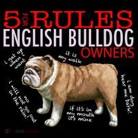 5 Rules For English Bulldog Owners Gift Women's Hoodie thumb 2