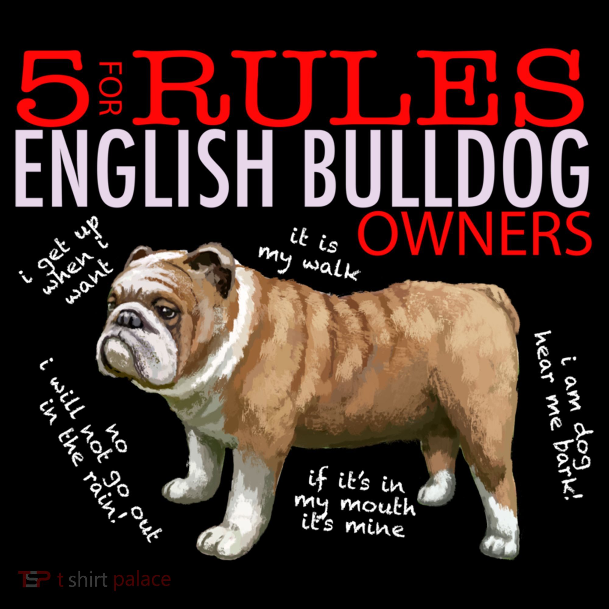 5 Rules For English Bulldog Owners Gift Women's Hoodie