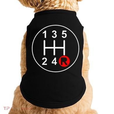 5 Speed Manual Transmission Stick Shift Car Enthusiast Doggie Tank