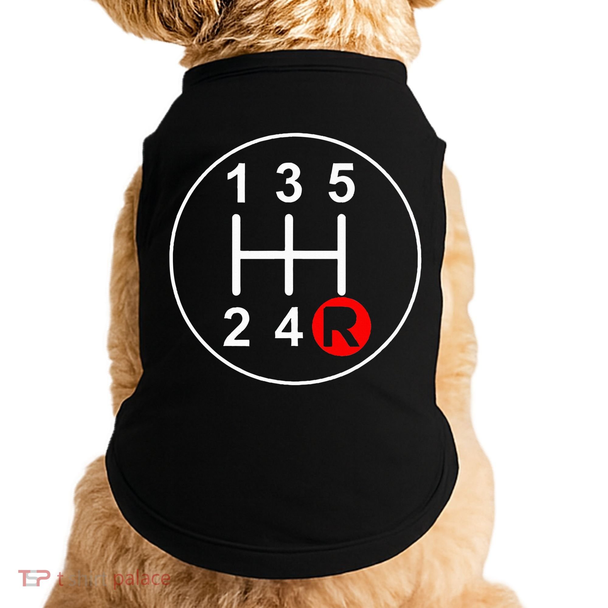 5 Speed Manual Transmission Stick Shift Car Enthusiast Doggie Tank