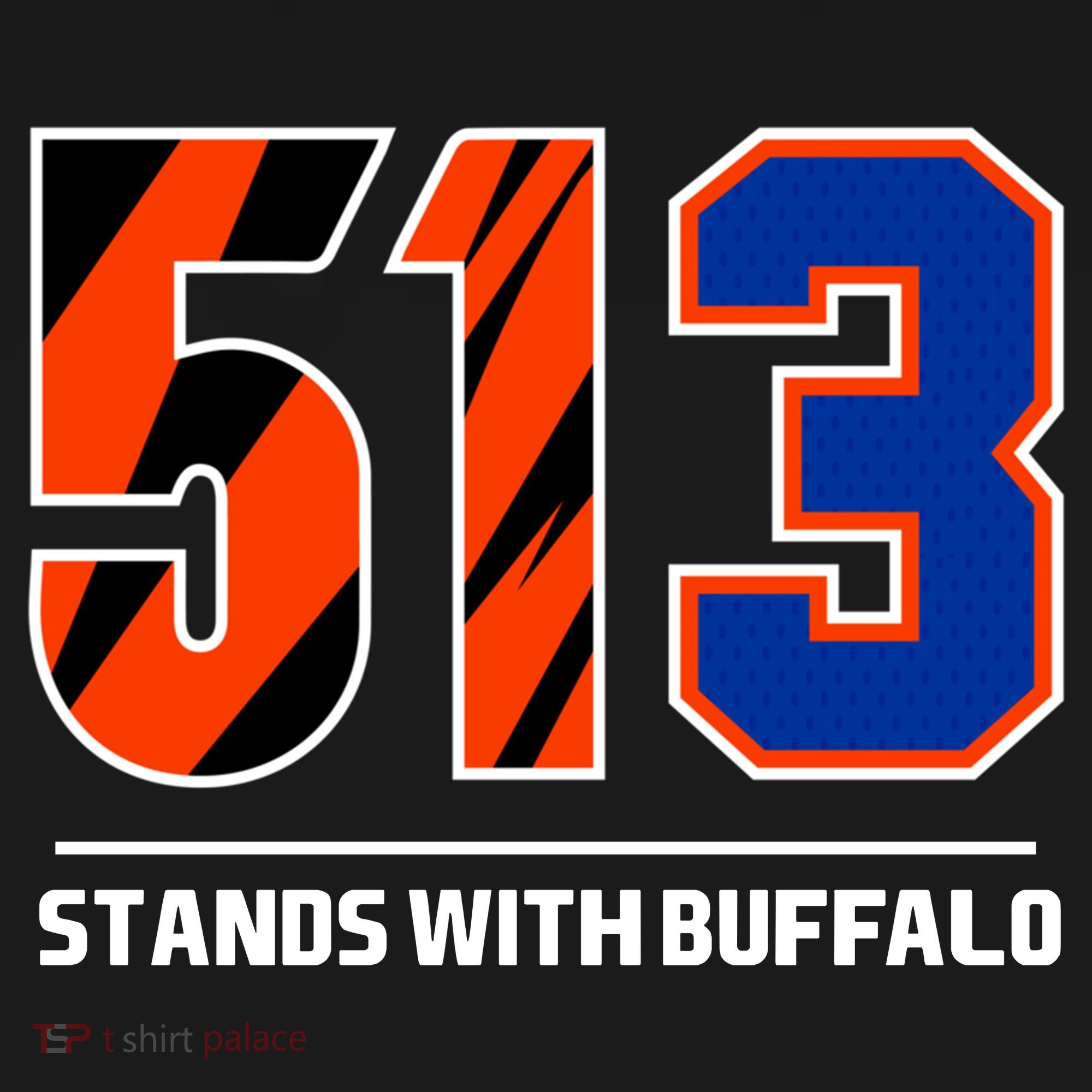 513 Stands With Buffalo Sweatshirt