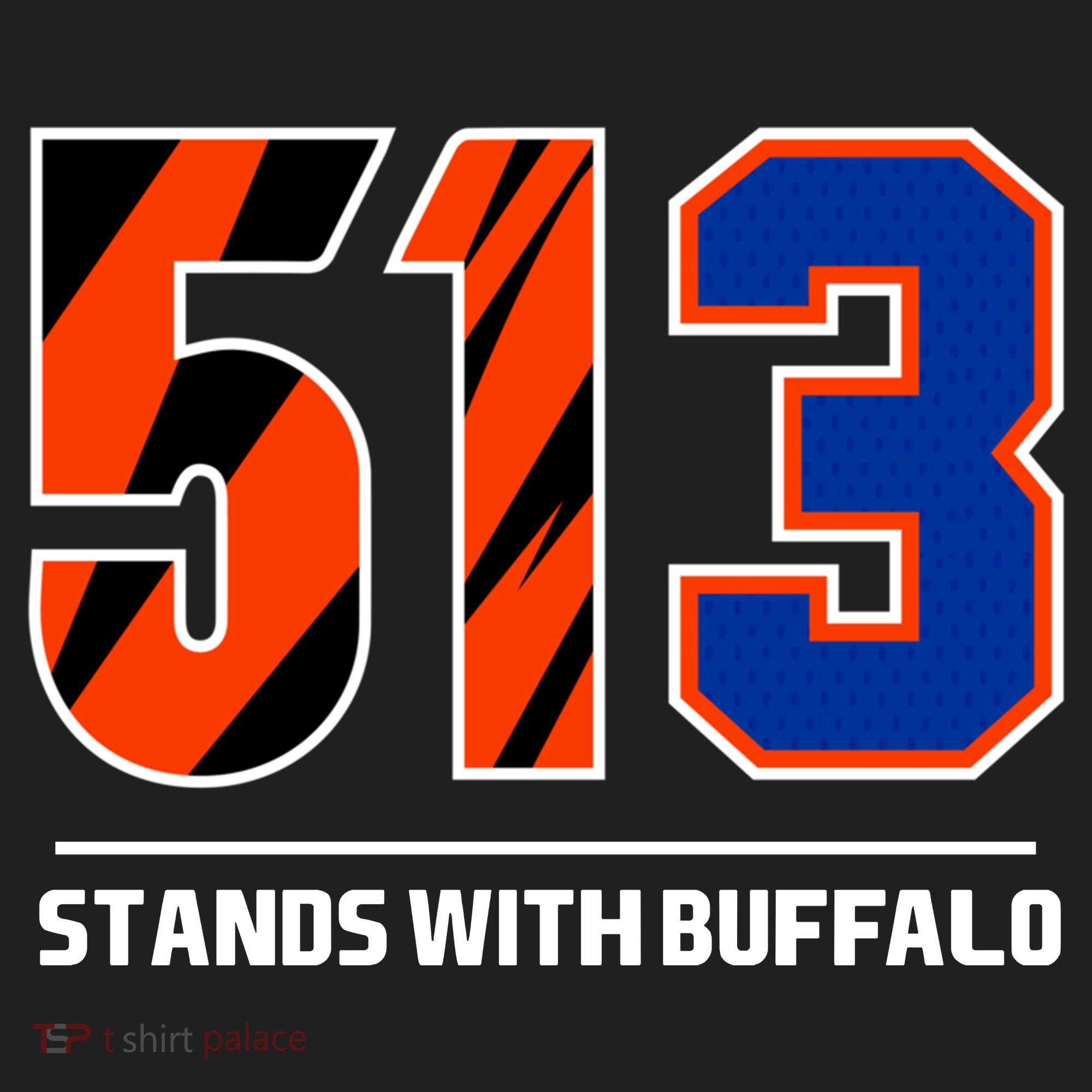 513 Stands With Buffalo Hat