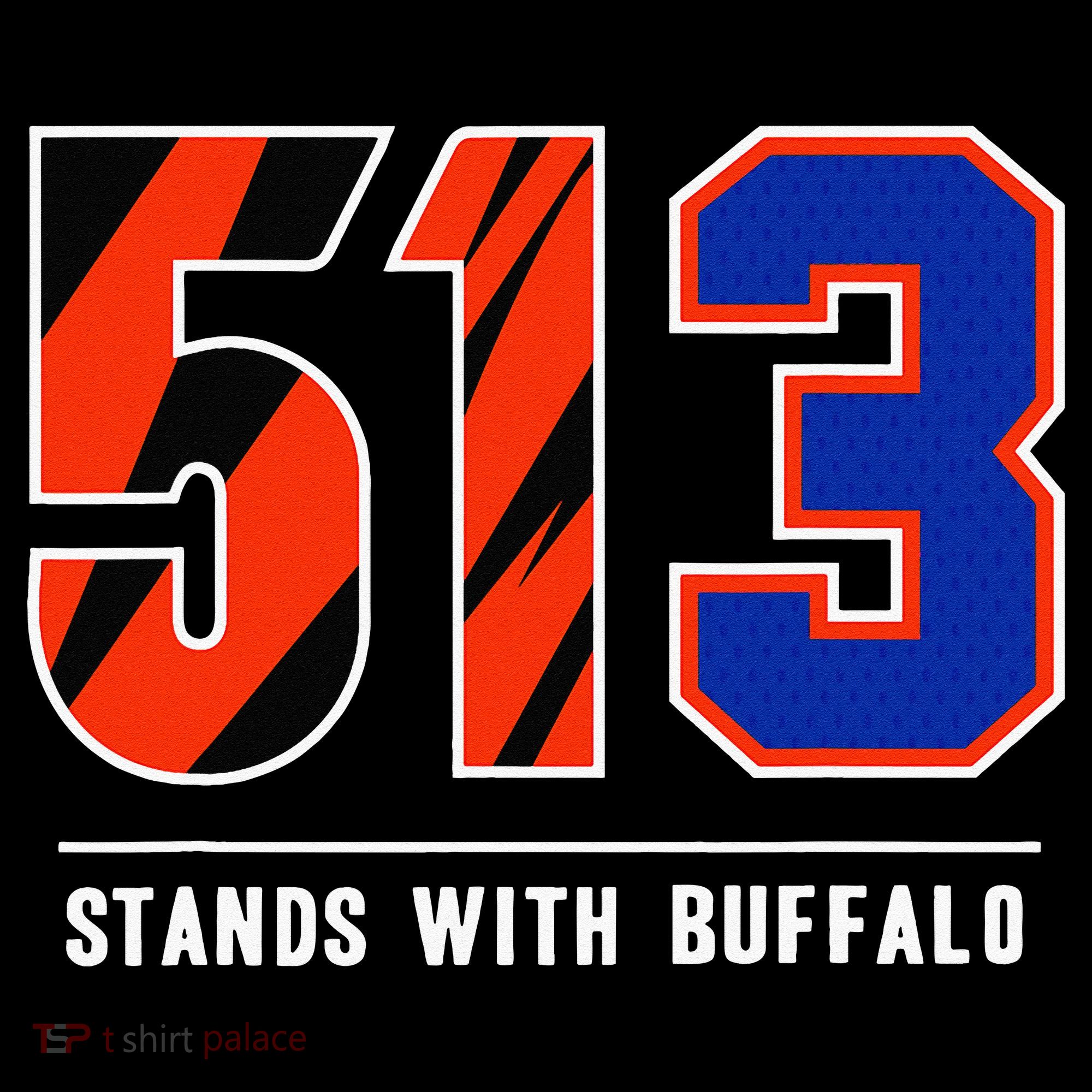513 Stands With Buffalo Gift Toddler Hoodie
