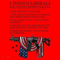5 Thing Liberals Will Never Understand Santa Hat thumb 1