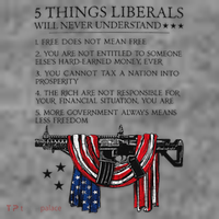 5 Thing Liberals Will Never Understand Toddler Hoodie thumb 2