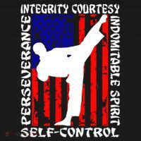 5 Tenets Of Taekwondo Martial Arts Gift Ornament thumb 1