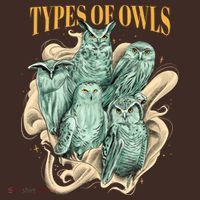 5 Types Of Owls T-Shirt thumb 7