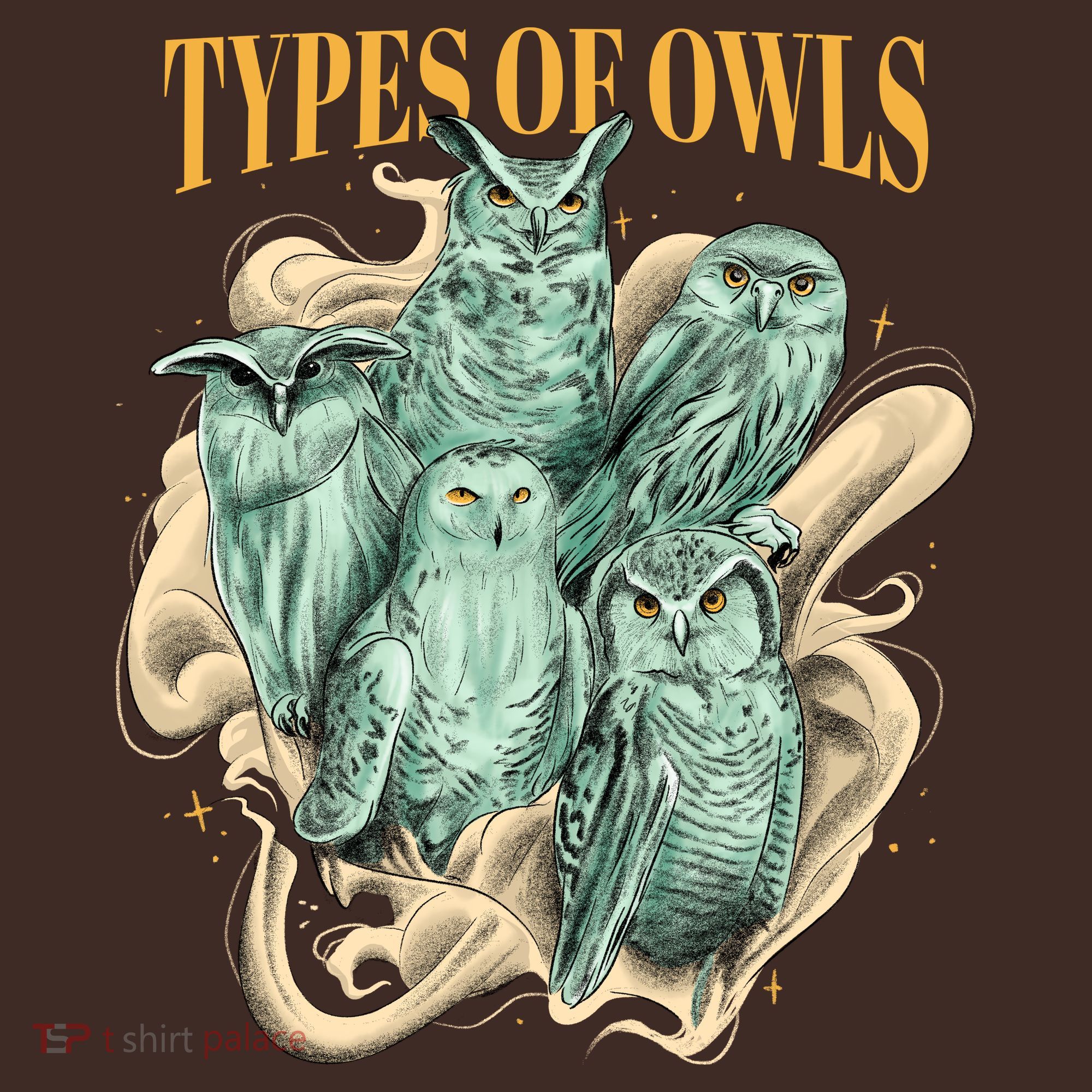 5 Types Of Owls T-Shirt