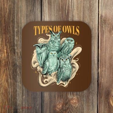 5 Types Of Owls Coaster